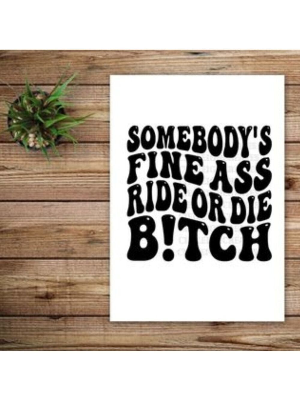*2 for $20* Somebody's Fine Ass Ride or Die Vinyl Decal Sticker Handcrafted